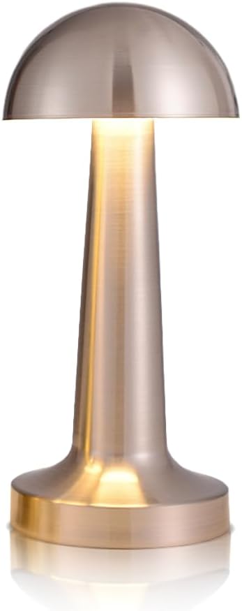 Portable LED Table Lamp, 3-Levels Brightness Metal Desk Lamp, 3 Color Touch Control Rechargeable Lamp, Night Light, Bedside Lamp,Dining Room Lamp (Silver)