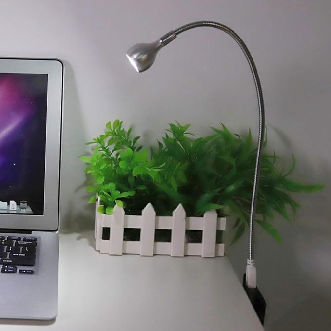 Desk Lamp, LED Mini USB Lamp, Nonradiative No Flicker Home for Desk(Silver, White light)