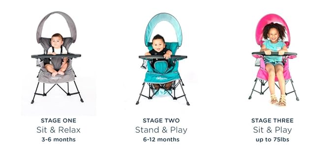 Baby Delight Go with Me Venture Portable Chair | Indoor and Outdoor | Sun Canopy | 3 Child Growth Stages | Grey