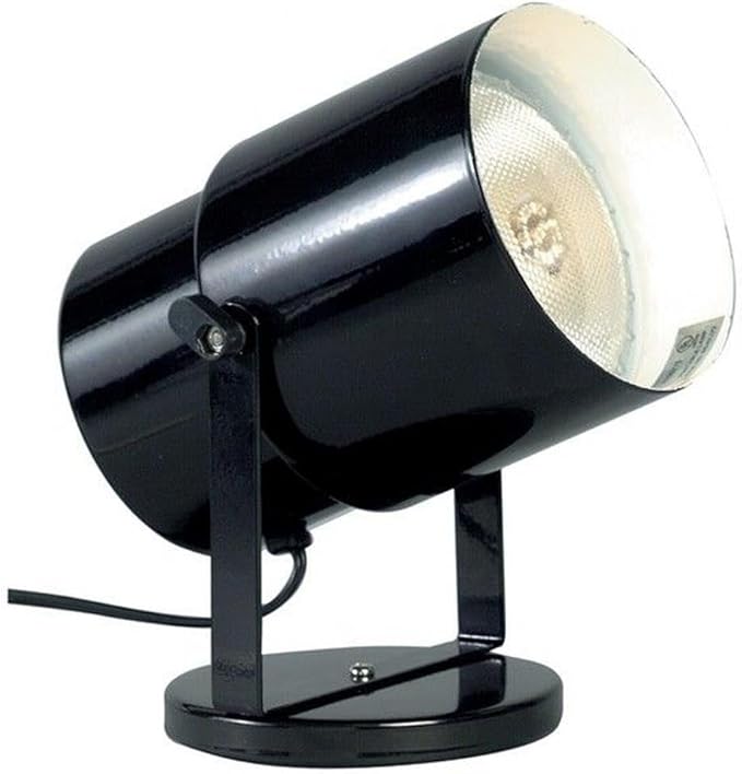 Satco 1 Light Plant Lamp-Black Finish