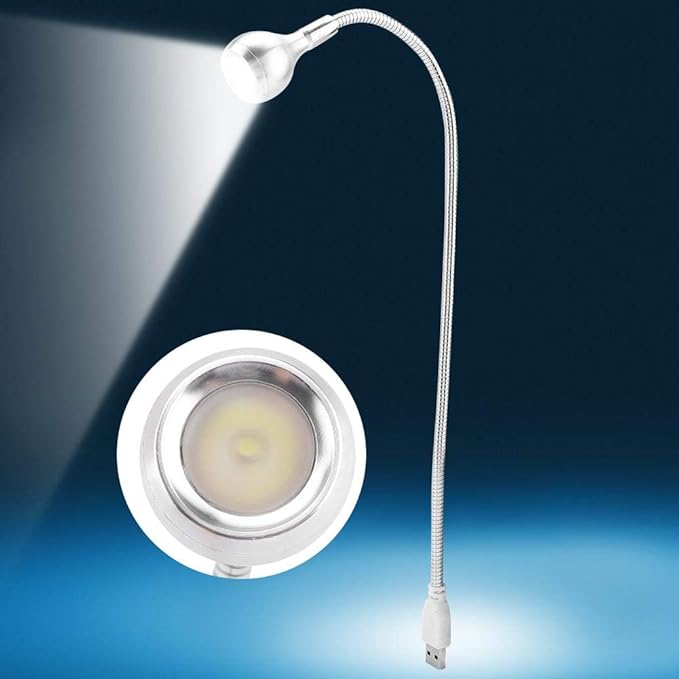 Desk Lamp, LED Mini USB Lamp, Nonradiative No Flicker Home for Desk(Silver, White light)