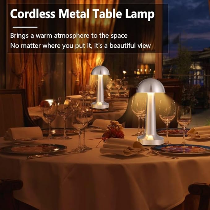 Portable LED Table Lamp, 3-Levels Brightness Metal Desk Lamp, 3 Color Touch Control Rechargeable Lamp, Night Light, Bedside Lamp,Dining Room Lamp (Silver)