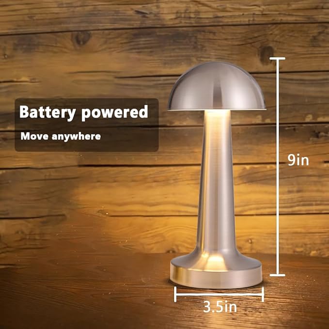 Portable LED Table Lamp, 3-Levels Brightness Metal Desk Lamp, 3 Color Touch Control Rechargeable Lamp, Night Light, Bedside Lamp,Dining Room Lamp (Silver)