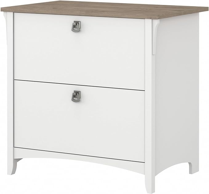 Bush Furniture Salinas 2 Drawer Lateral File Cabinet in Pure White and Shiplap Gray