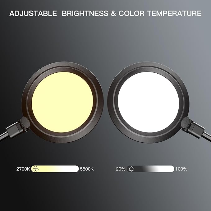 Desk Lamp LED with Remote Control, Desk Light for Video Conferencing, Zoom Light with Clamp, Adjustable Brightness & Color Temperature, Webcam Light, Keylight, Table Lamp
