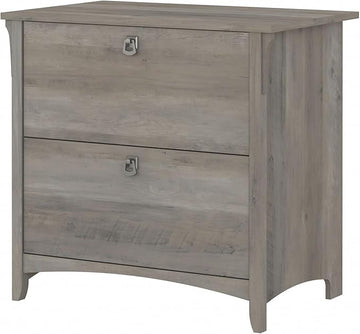 Bush Furniture Salinas 2 Drawer Lateral File Cabinet in Driftwood Gray