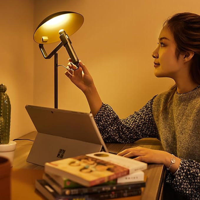Rechargeable USB Flashlight Desk Lamp，Bedside Lamps,Desk Lamps，LED Office Lamp,Detachable USB Night Light，Multifunction Desktop LED Table Lamp,Desk Lamp for Living Room, Bedroom (Black)