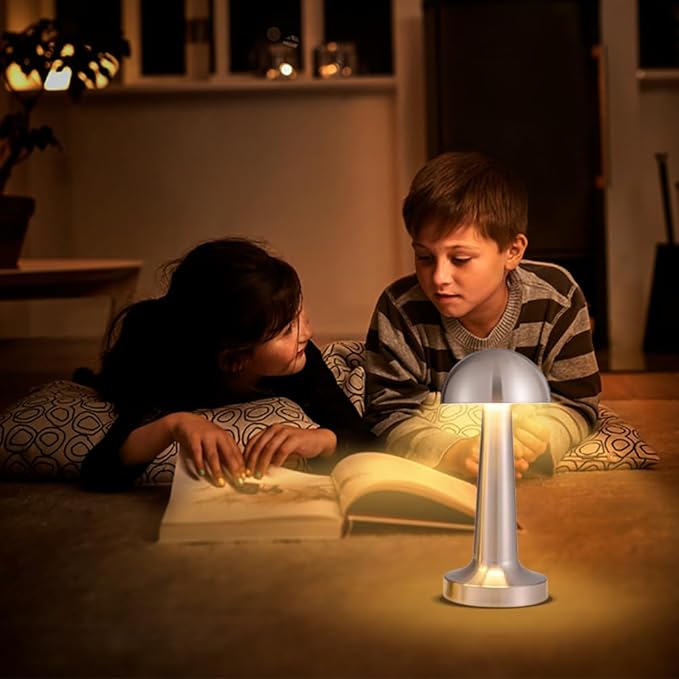 Portable LED Table Lamp, 3-Levels Brightness Metal Desk Lamp, 3 Color Touch Control Rechargeable Lamp, Night Light, Bedside Lamp,Dining Room Lamp (Silver)