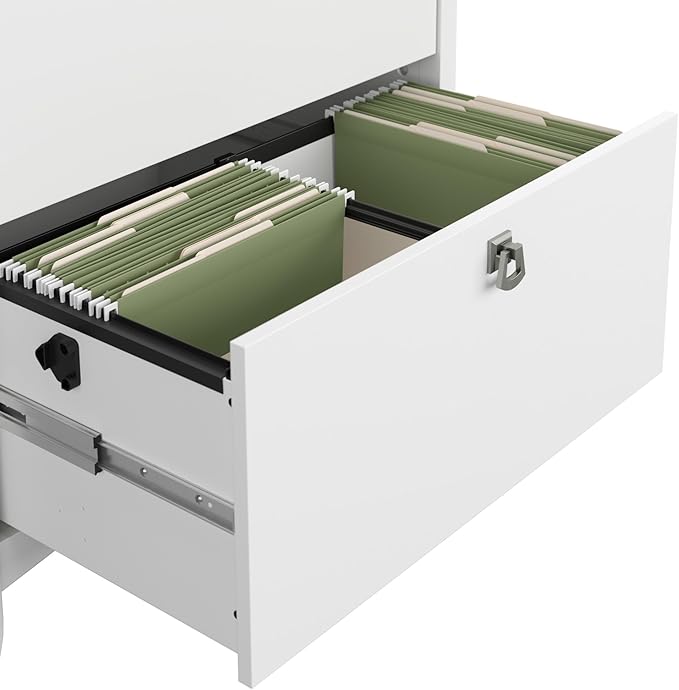 Bush Furniture Salinas 2 Drawer Lateral File Cabinet in Pure White and Shiplap Gray