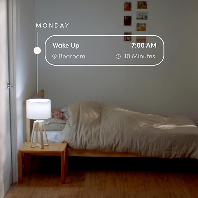 LIFX White A19 WiFi Smart LED Light Bulb, Dimmable, No Hub Required, Works with Alexa and Apple Home Kit, Hey Google, 2700k Warm White, 650 Lumens, 25,000-hour Lifetime, L3A19LW06E26US/12, 12 Pack