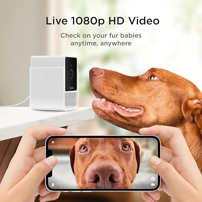 Petcube Cam The Pack of 2 | Indoor Wi-Fi Pet Security Camera with Phone App, 2-Way Audio and Video, Night Vision, 1080p HD Video and Smart Alerts