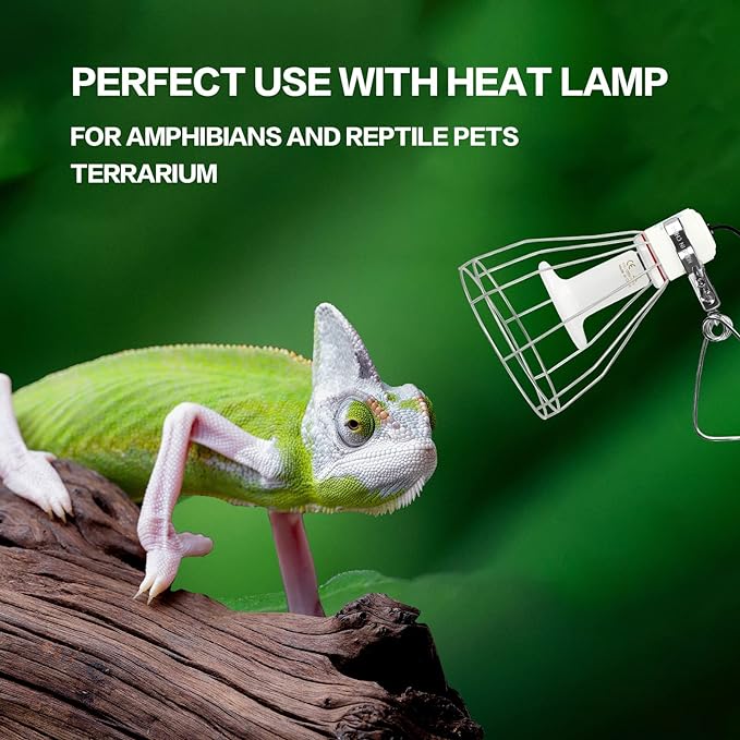 Simple Deluxe E26 Clamp Lamp Light with Steel Cage Wire Grillup, Suit for 250W Lamp (No Bulb Included) with 6 ft Cord, 1 Pack