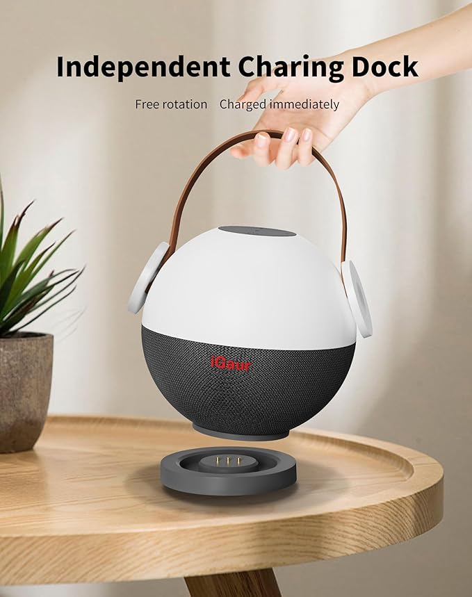 LED Night Light Beside Lamp: Music Table Lamp with Wireless Charger - 5 in 1 Touch Lamp Magnetic Wireless Phone Apple Watch Charger Birthday Gifts Friendship Lights with Base for Wife