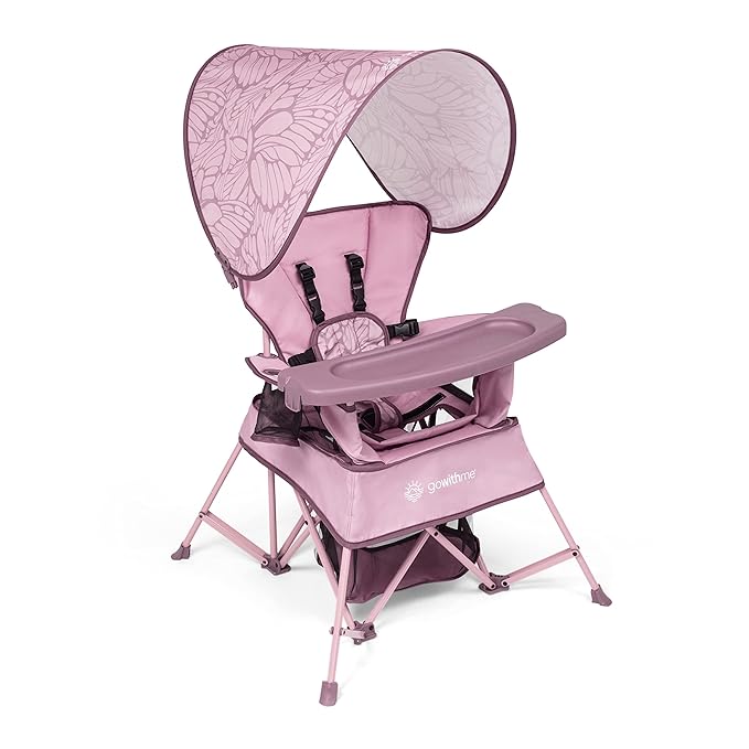 Baby Delight Go with Me Venture Portable Chair | Indoor and Outdoor | Sun Canopy | 3 Child Growth Stages | Canyon Rose