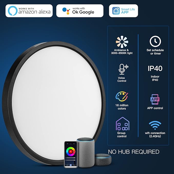 TALOYA Smart Ceiling Light Flush Mount LED WiFi, Compatible with Alexa Google Home, Black Dimmable Low Profile Ambient Light Fixture for Bedroom Living Room,12 Inch 24W