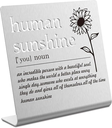 Human Sunshine Definition Desk Signs Funny Appreciation Gifts for Women Thank You Gift for Friends Teacher Coworker Doctor Nurse Gift for Mom Aunt Sister Sunshine Party Decorations (silver) XLK12