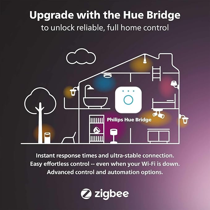 Philips Hue Lily Outdoor Smart Spot Light - White & Color Ambiance LED Walkway Lights - Low Voltage Lighting - 1 Pack - Requires Bridge and Power Supply - Control with App and Voice - Weatherproof