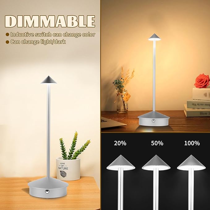 Rechargeable Battery Operated Desk Lamp with Touch Sensor Cordless Portable LED Table Lamp， Three-Level Dimmable Suitable for Bars/Cafes/Restaurants/Bedrooms/Camping Sites (Silver)