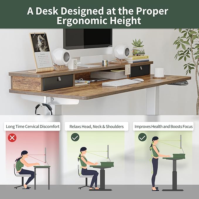 FEZIBO 48 x 24 Inch Height Adjustable Electric Standing Desk with Double Drawer, Stand Up Desk with Storage Shelf, Sit Stand Desk, Light Rustic