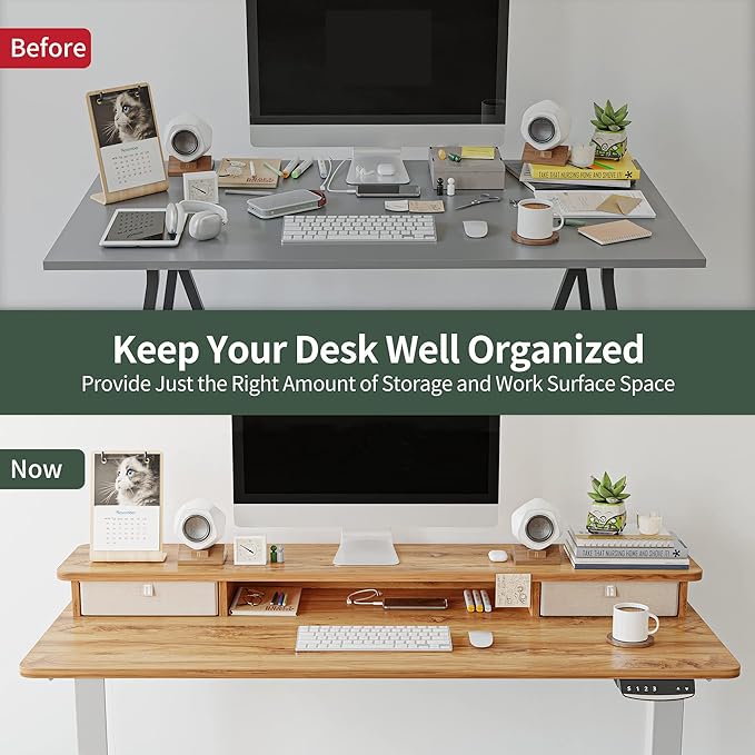 FEZIBO 48 x 24 Inch Height Adjustable Electric Standing Desk with Double Drawer, Stand Up Desk with Storage Shelf, Sit Stand Desk, Light Rustic