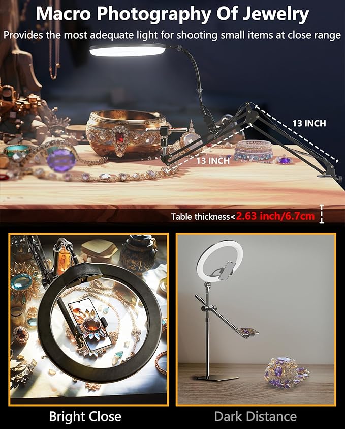 Zoom Lighting for Computer Video Conference, 10 Inch Ring Light with Stand for Video Recording, Working, Learning, Zoom Call, Webcam Laptop Light with Phone Holder for Podcast Live Streaming
