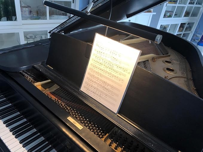 Cocoweb 19" LED Grand Piano Light in Mahogany Bronze with Brass Accents with Dimmer Clip