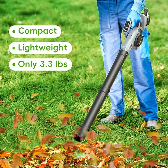 Leaf Blower Cordless - Electric Cordless Leaf Blower with 2 Batteries and Charger, 3 Speed Modes & 3 Blowing Nozzles, 20V Battery Powered Mini Leaf Blowers for Lawn Care, Patio, Indoor