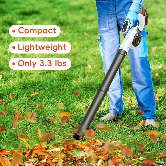 Leaf Blower Cordless - Electric Cordless Leaf Blower with 2 Batteries and Charger, 3 Speed Modes & 3 Blowing Nozzles, 20V Battery Powered Mini Leaf Blowers for Lawn Care, Patio, Indoor